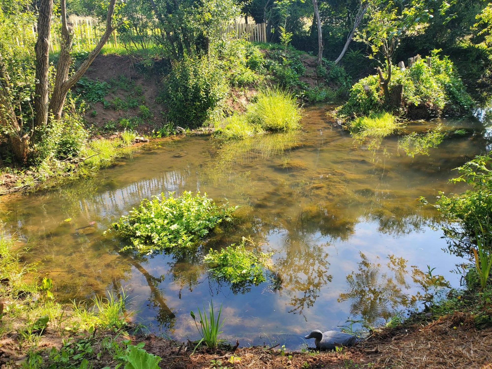 Le Clos Des Sources Ізіньї-сюр-Мер Екстер'єр фото